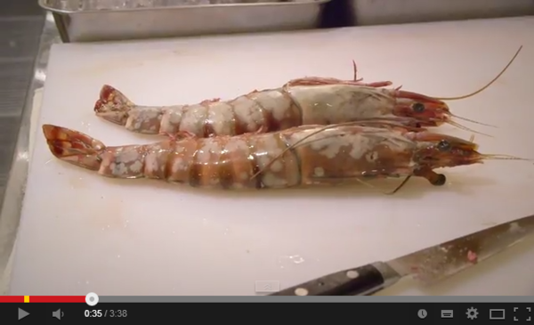 Giant Fried Shrimp with Risa YouTube 1.5.png