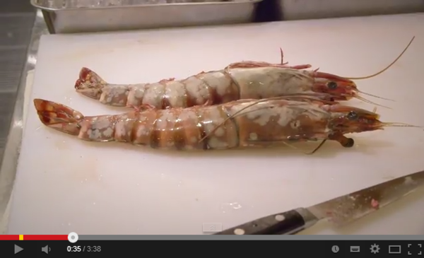 Giant Fried Shrimp with Risa    YouTube 1.5.png